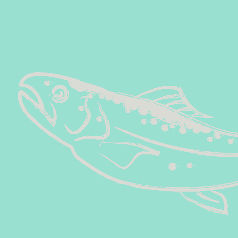 The Fish Co