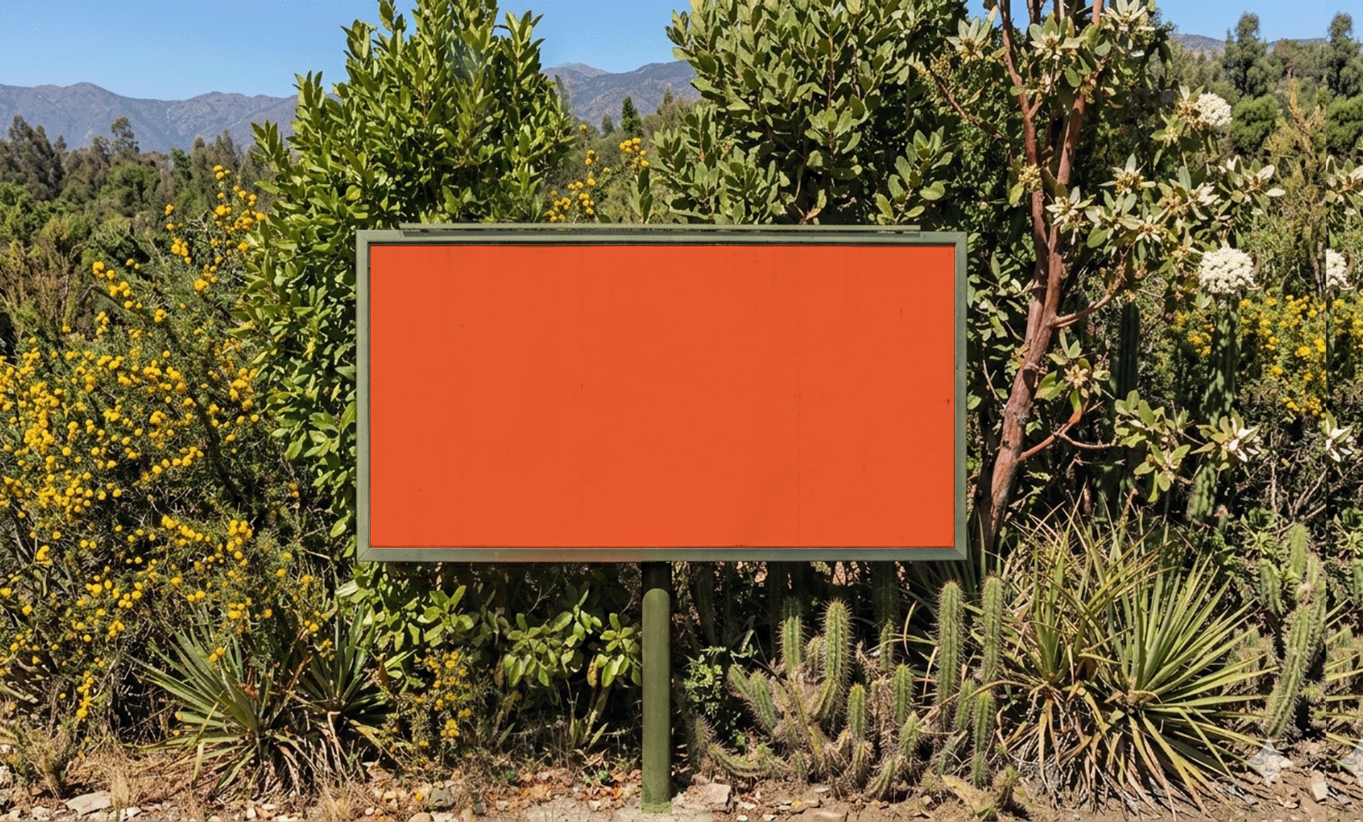 Festival Primavera MIM