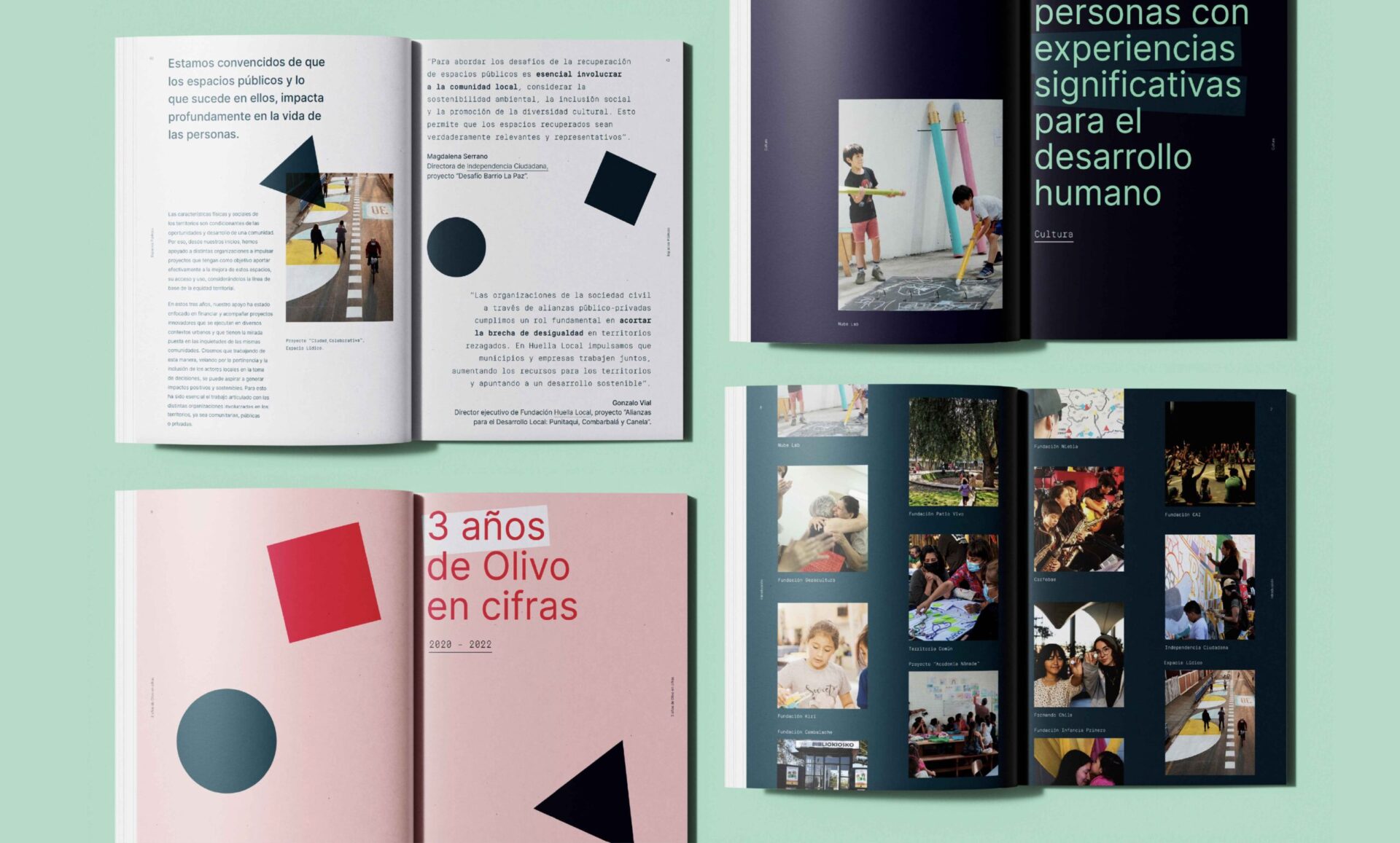 Memoria Fundación Olivo