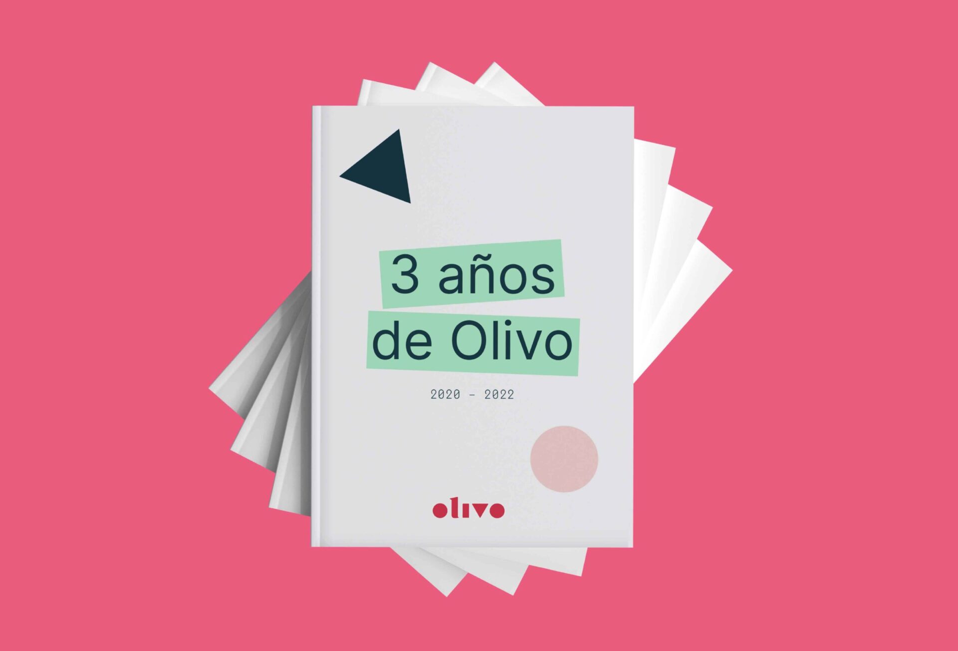 Memoria Fundación Olivo