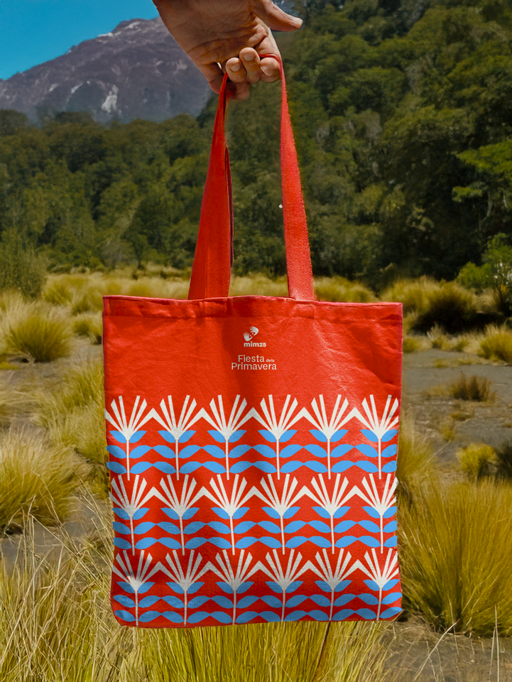 Festival Primavera MIM