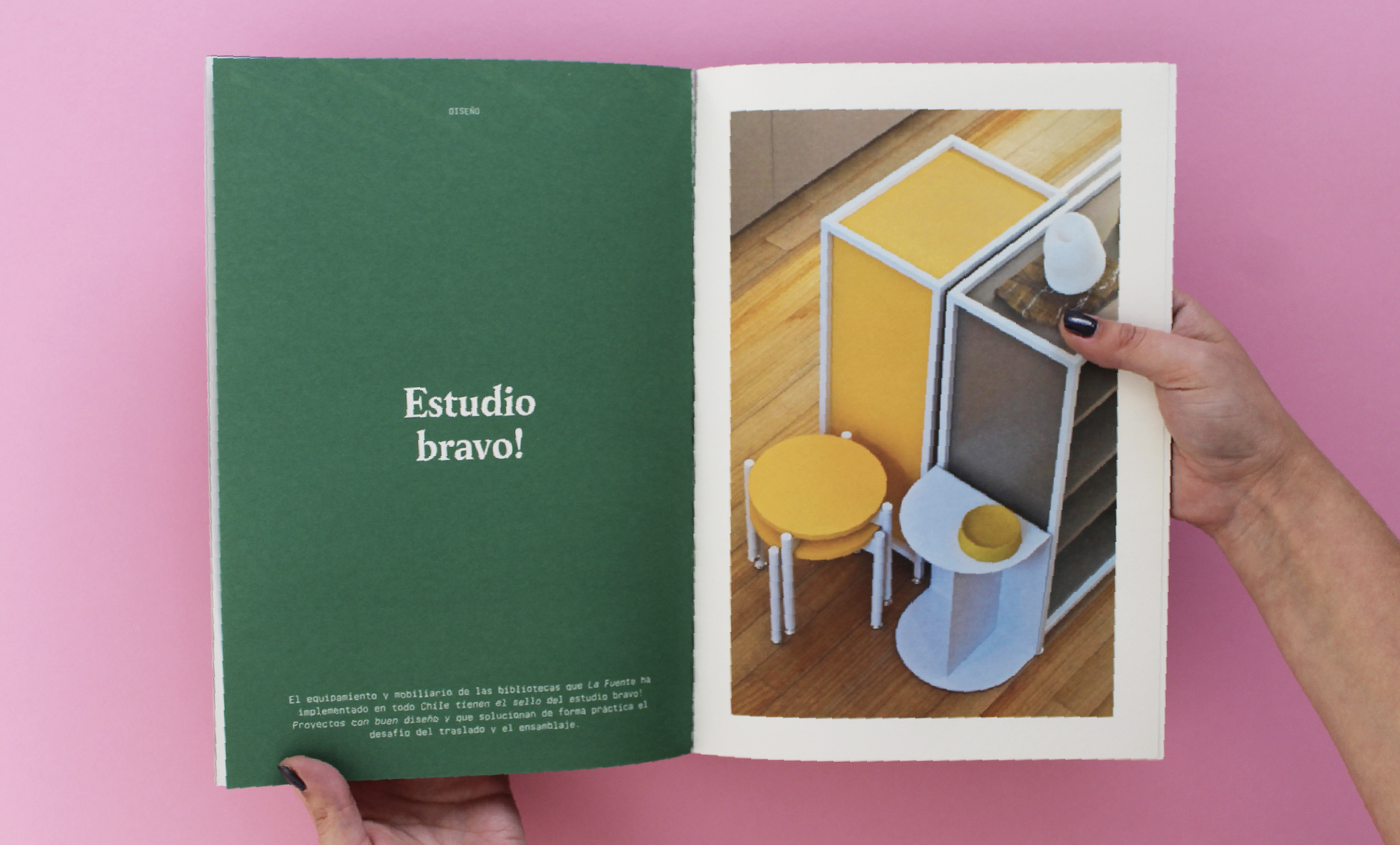 Libro La Fuente